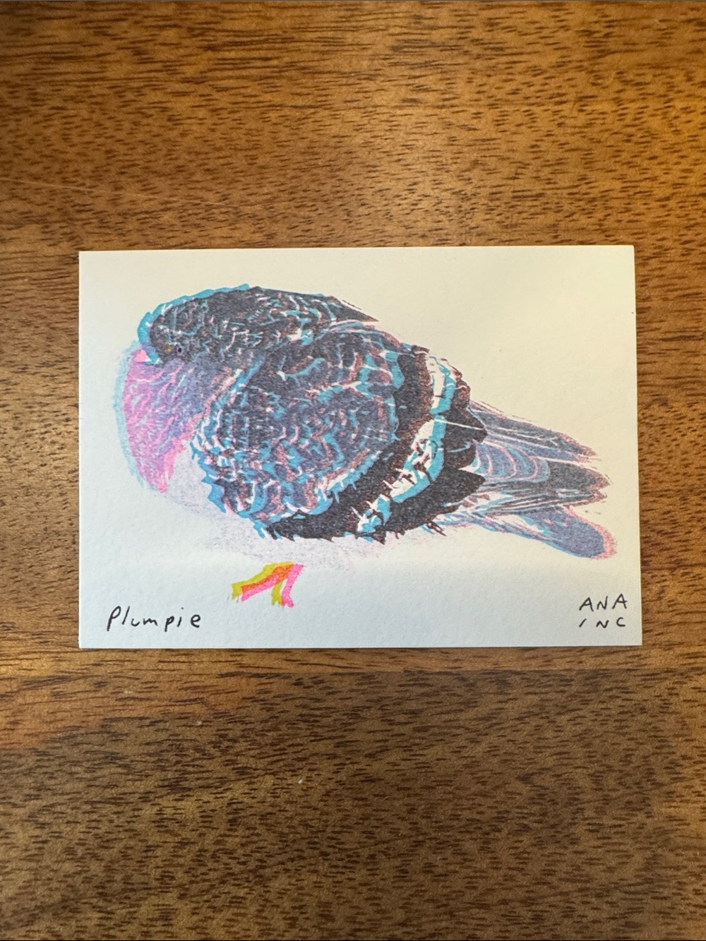 Inciardi - Plumpie Pigeon - Mini Print